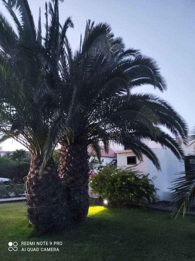 Suite La Oliva Luaran gambar