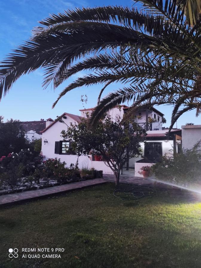 Suite La Oliva Luaran gambar
